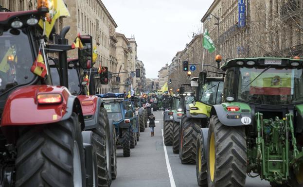 Las OPA de Salamanca protestarán en la calle contra la protección integral al lobo