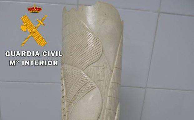 Investigado en Valladolid tras intervenirle un colmillo de elefante que vendía en Internet