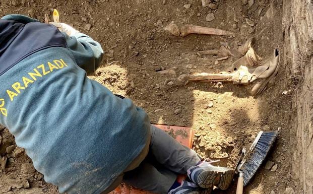 Un miembro de Aranzadi, procede a la exhumación de unos restos en Castillejo de Martín Viejo/