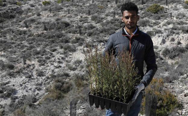 6.000 nuevos árboles y una casa recuperada en Piñel de Abajo para atraer a más vecinos