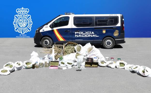 Detenido en Salamanca con 10 kilos de marihuana preparada para vender y más de 200 plantas