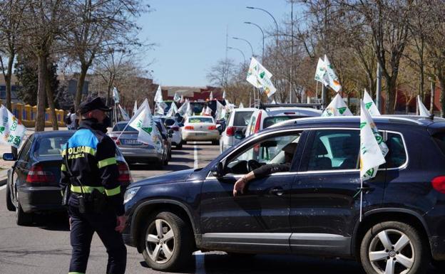 El campo toma Salamanca para exigir «menos lobos y más ganaderos»