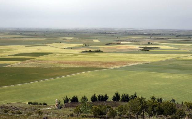 Una riqueza que siempre espera