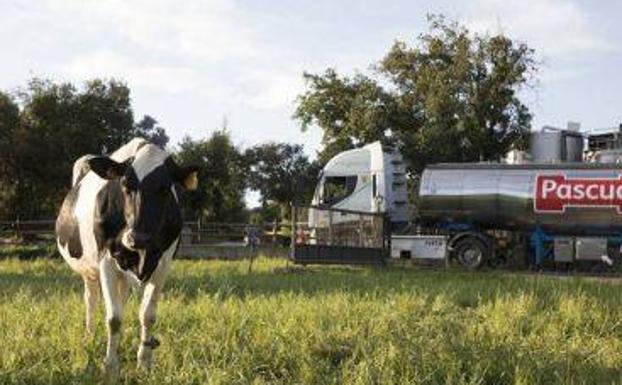 Pascual renueva por cuarto año consecutivo su certificación en Bienestar Animal