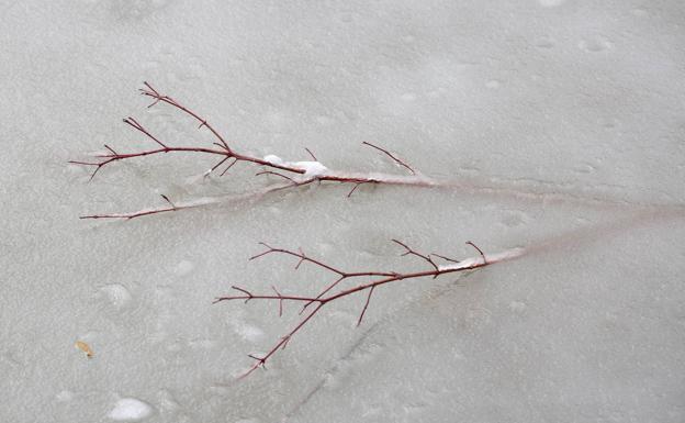 La localidad soriana de San Pedro Manrique marca la quinta temperatura más baja de España