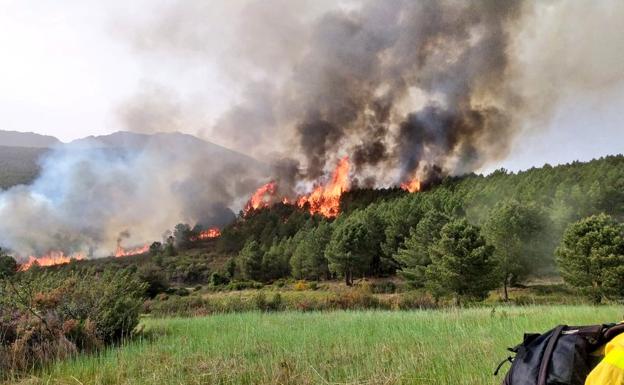 Medios aéreos y terrestres trabajan para controlar un incendio en Herguijuela de la Sierra