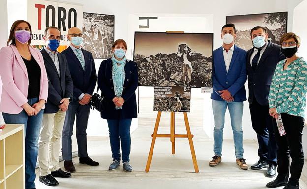 Las fotografías de Antonio Fortuoso Talegón recrean 'Los trabajos del ayer en el viñedo toresano'