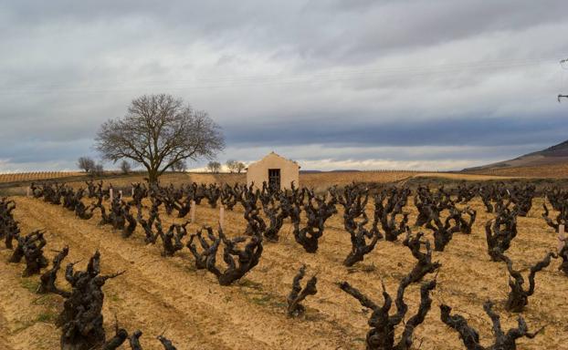 Pago de los Capellanes celebra su 25 aniversario con un vino dedicado al abuelo de la familia, Doroteo Rodero