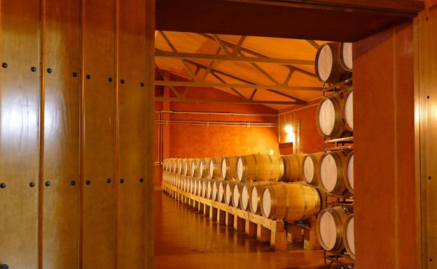 Ribera del Duero: Una apuesta segura por crianzas que emocionan