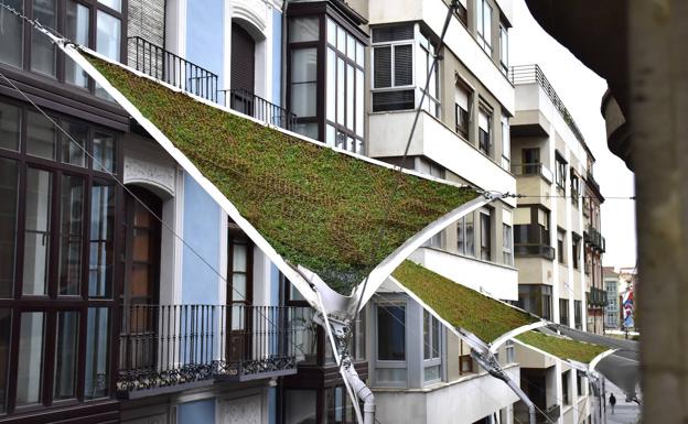 Ochenta metros de barrera vegetal en la mediana del Paseo del Hospital Militar reducirán el ruido