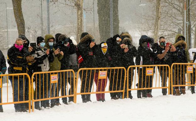 Pingüinos 2022 ya tiene fecha