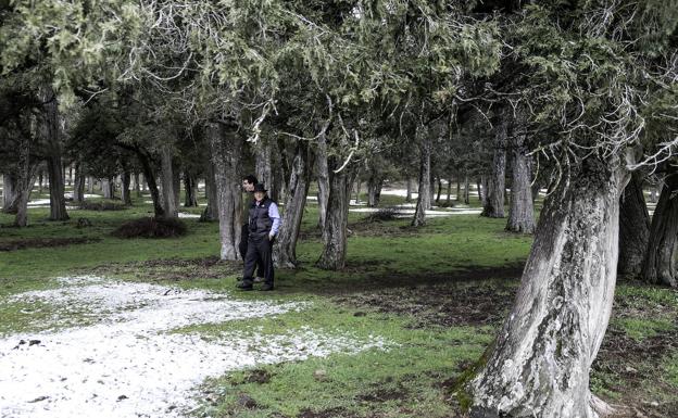 Soria le pone el termómetro al planeta ante la crisis climática