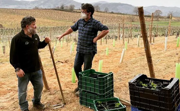 Bodegueros y viticultores del Bierzo no quieren un 'skyline' de elementos móviles gigantescos en sus viñedos
