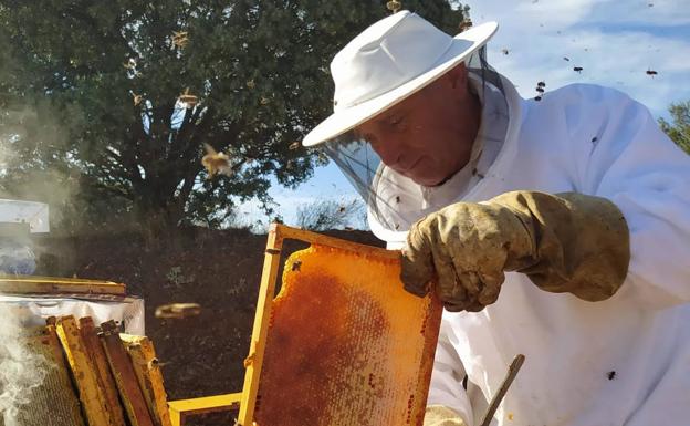 Enfrentamiento entre los apicultores trashumantes y los estantes en Castilla y León
