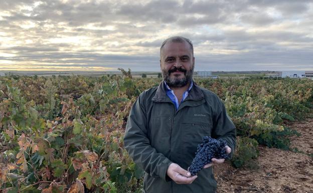 Felipe Nalda: «Toro es la única DO de Castilla y León que creció en ventas en 2020»