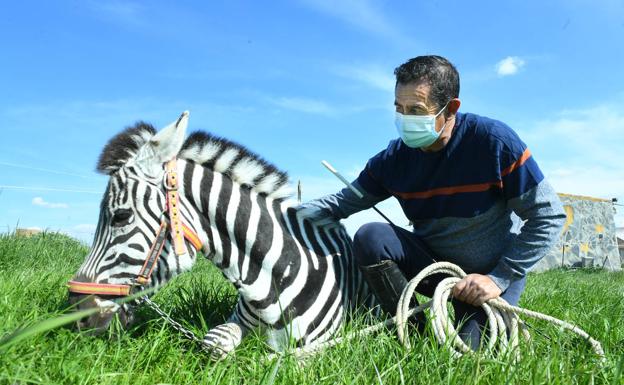 «Aquí cuido a más de 370 animales de varias especies»