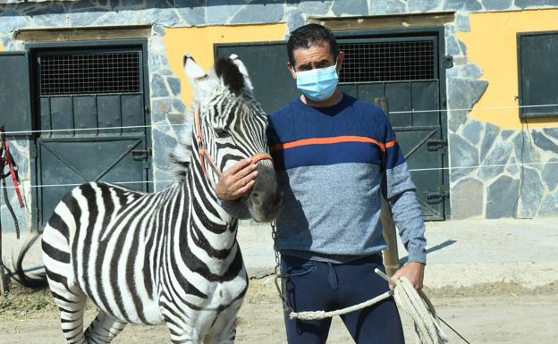 «Un año y medio domando una cebra que llegó de Holanda»