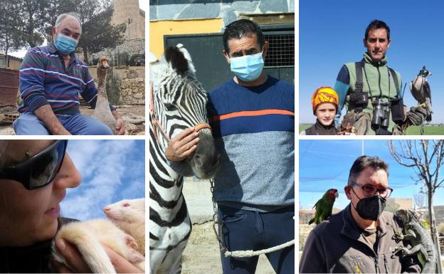 Pasión por vivir con animales exóticos en la provincia de Valladolid