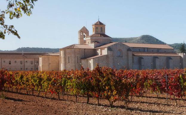 Los mejores planes para disfrutar de la Ruta del Vino Ribera del Duero en el Día de Castilla y León