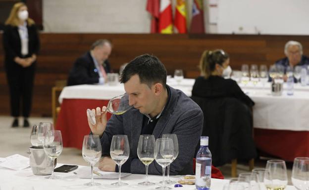 Erial TF representará al Museo del Vino de Peñafiel los dos próximos años