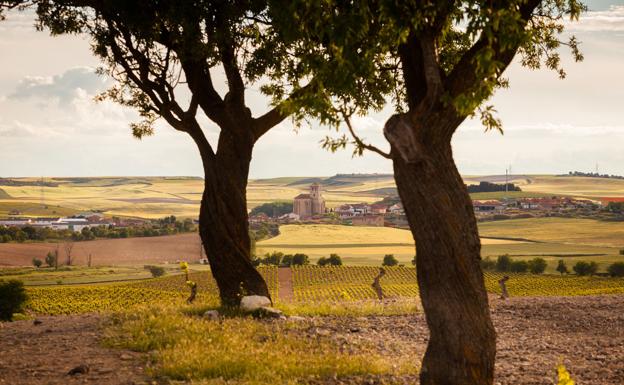 La Ruta del Vino Cigales se suma al V centenario de la Batalla de Villalar