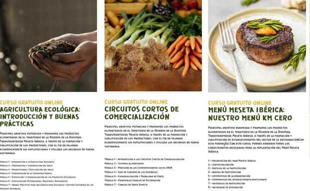 Zasnet promueve cursos de formación online sobre agricultura, comercialización y gastronomía