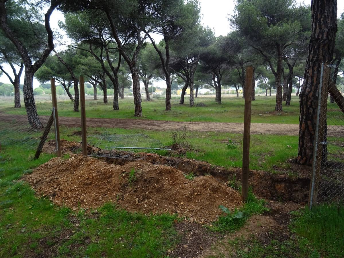 Destrozos en las instalaciones de Pingüinos en la antigua Hípica Militar de Valladolid