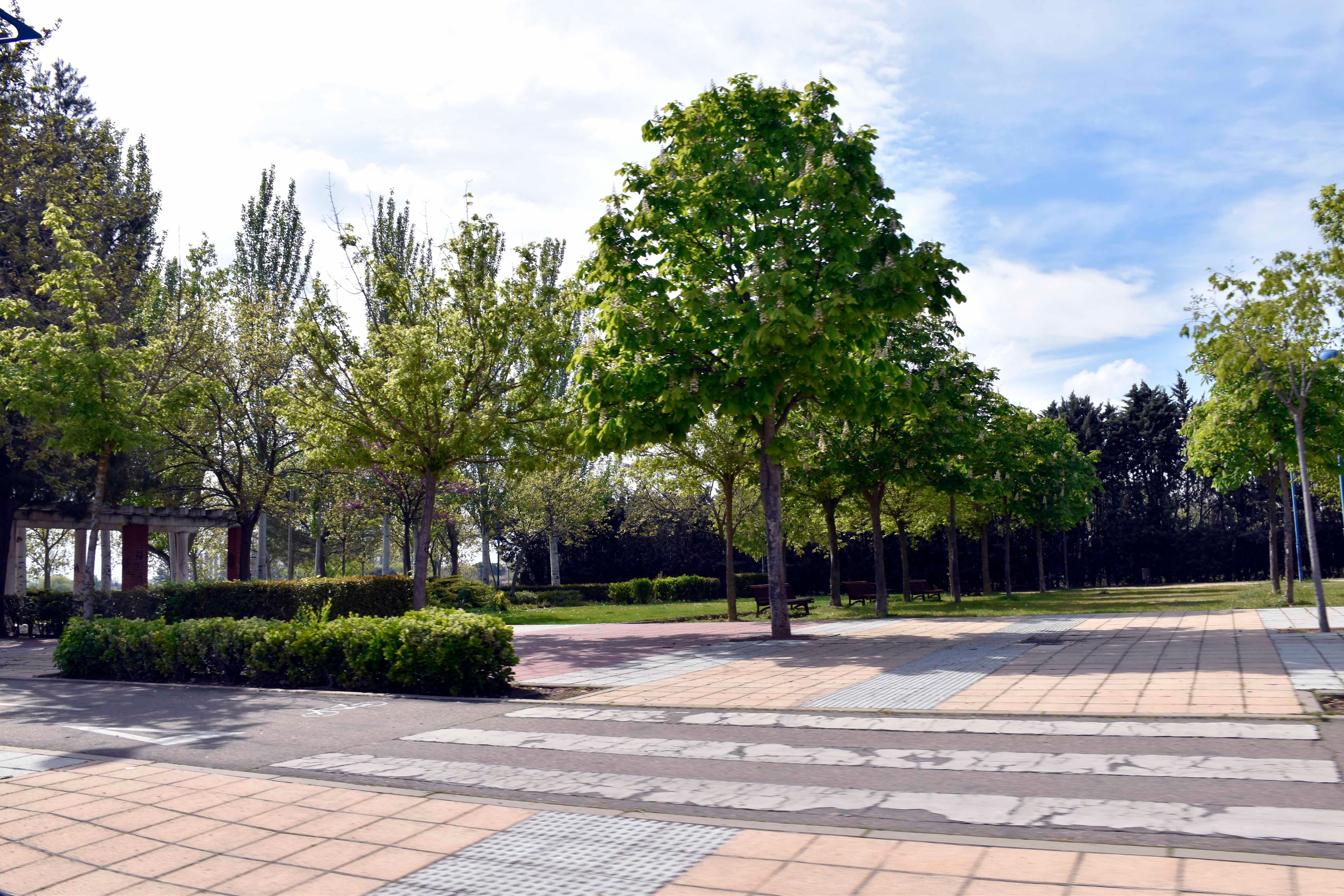 La otra mirada a Valladolid: San Isidro
