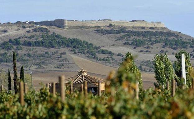 Heredad de Urueña se convierte en la primera DOP Vino de Pago de Castilla y León después de un largo proceso