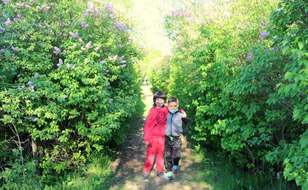 Villaviudas ofrece un tesoro en forma del mejor paseo entre lilas de Palencia