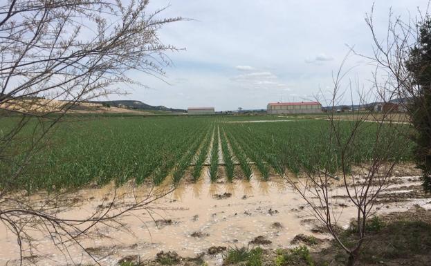 Nuevo reventón en la tubería general del canal del Riaza en Valbuena de Duero
