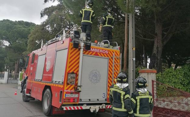 El servicio provincial de bomberos contará desde mayo con 47 nuevos efectivos