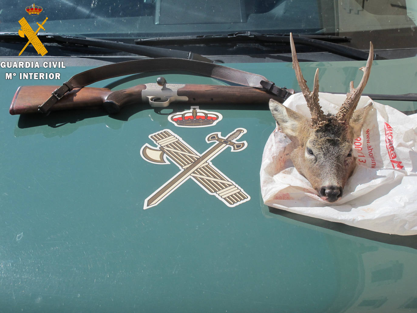 El Seprona incauta una cabeza de corzo sin precintar y un rifle a dos cazadores en Sepúlveda