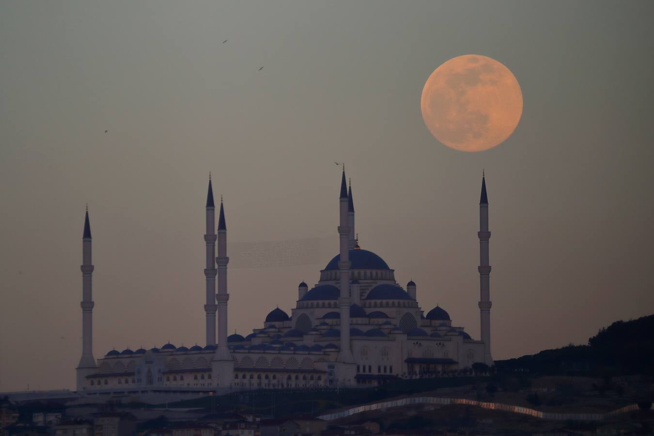 La superluna rosa deslumbra al mundo