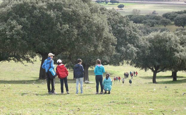 La Diputación de Salamanca crea una plataforma digital para que los escolares conozcan la dehesa