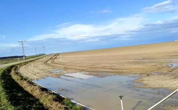 Las lluvias alivian el secano, pero llegan de manera desigual al campo