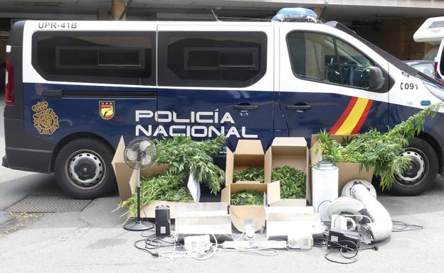 Descubren una plantación de marihuana en una casa que iban a desahuciar en Salamanca