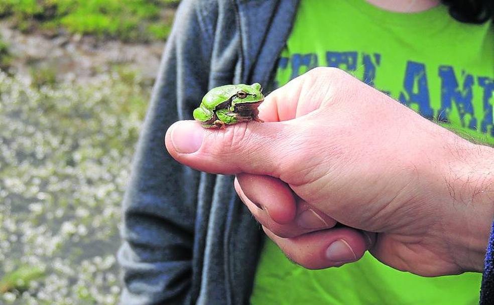 Al rescate de las pozas de La Aldehuela