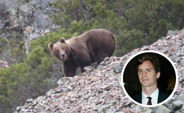 Acusan a un príncipe de Liechtenstein de matar al oso más grande de Rumanía