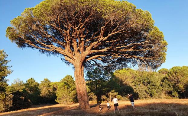 La Asociación de Agencias de Viajes AAVVSpain visita la Ruta del Vino Ribera del Duero