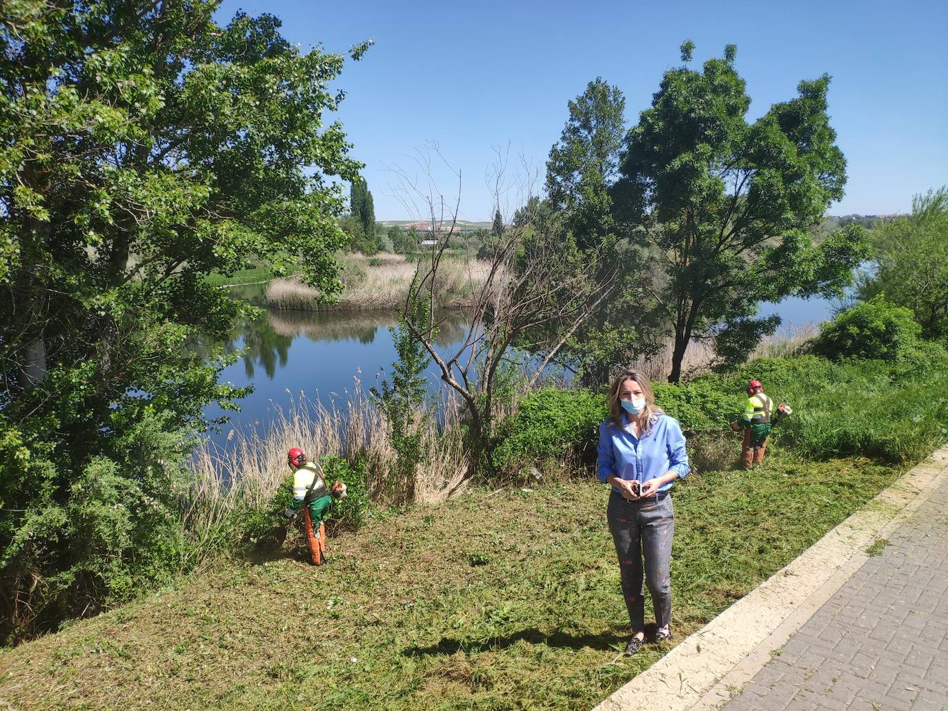 El Ayuntamiento de Santa Marta limpia la ribera del río