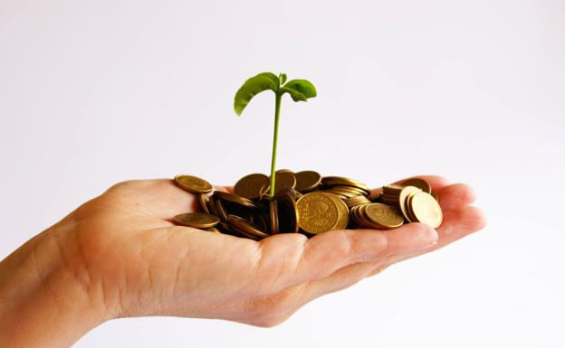 Talento y territorio