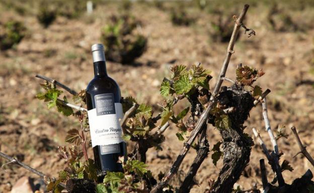 Cuatro Rayas lanza la primera referencia con la nueva categoría Gran Vino de Rueda