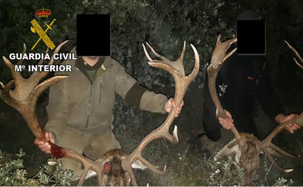 La Guardia Civil investiga a un grupo criminal que organizaba eventos de caza mayor en varias provincias