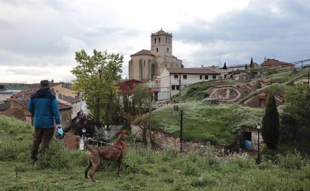 Mucientes transita por la cultura del vino: ¡Siga a los pájaros!