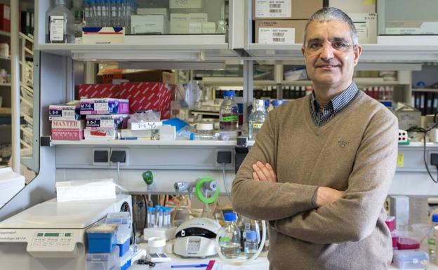 Bustelo: «Necesitamos un apoyo más decidido para seguir siendo referencia internacional en investigación»