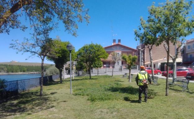 Trabajos de jardinería y mantenimiento de zonas verdes en la Villa Ducal