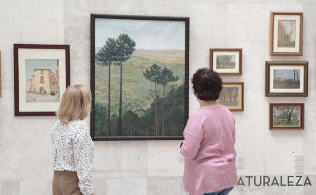 Las pinturas del profesor Maffei, en el Museo de la Universidad de Valladolid