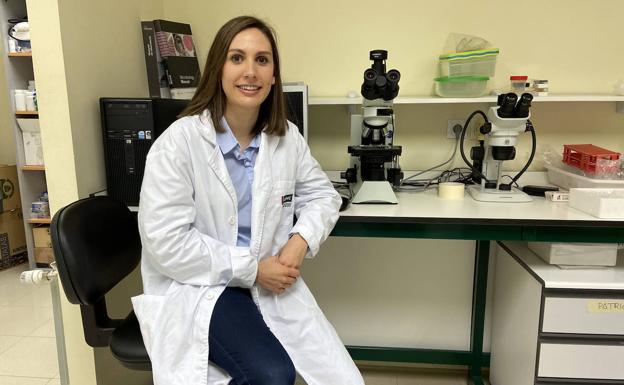 Cuatro de cada diez vallisoletanos admiten tener poca información sobre una alimentación saludable