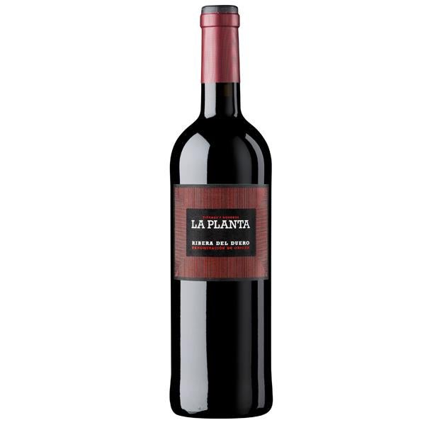 La Planta 2019, un vino versátil, polivalente y todoterreno